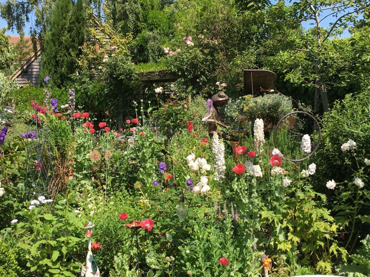 Wisteria Lodge