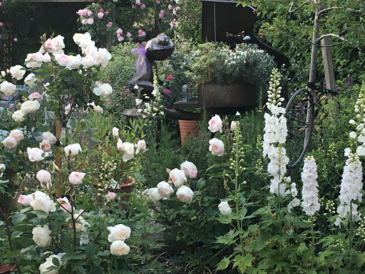 Wisteria Lodge Oxford