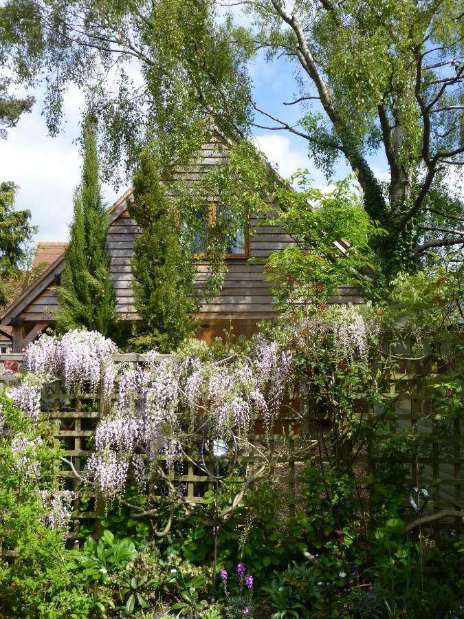 Lodge Wisteria *